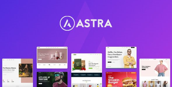 Astra Theme 4.12.0 + Portfolio 1.13.3 – Most Popular WordPress Theme