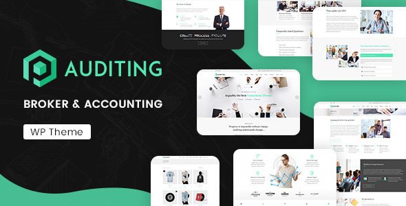 Auditing 3.3 – Accounting Consultant, Finance WordPress Theme