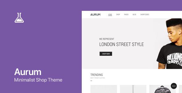 Aurum 4.0.9 – WordPress & WooCommerce Shopping Theme