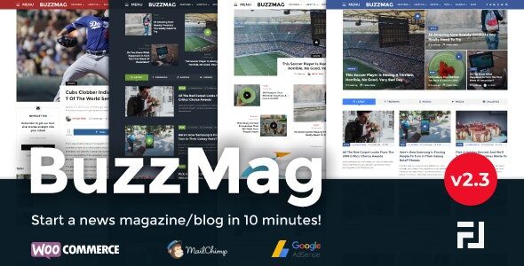BuzzMag 2.3.0 – Viral News WordPress Magazine/Blog Theme