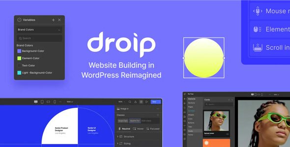 Droip 2.5.5 – No-Code WordPress Site Builder