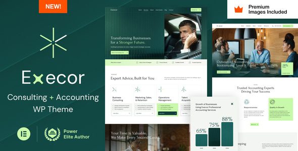 Execor 17 – Accounting and Management Consulting WordPress Theme