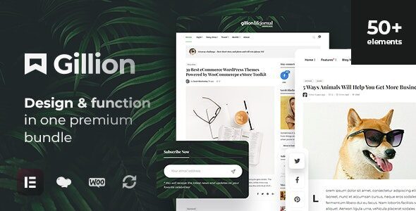 Gillion 4.13 – Multi-Concept Blog/Magazine & Shop WordPress AMP Theme