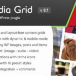 Media Grid 9.2.0 – WordPress Responsive Portfolio