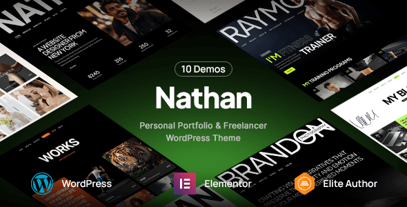 Nathan 1.0.3 – Personal Resume CV Portfolio WordPress Theme
