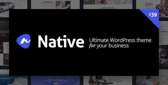 Native 1.7.12 – Stylish Multi-Purpose Creative WP Theme