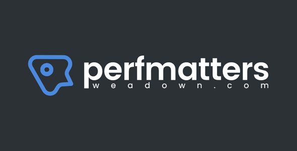 Perfmatters 2.5.7 – Lightweight WordPress Performance Plugin