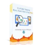 Visitor Traffic Real Time Statistics Pro 11.4